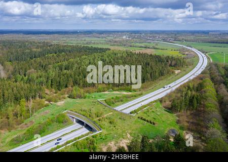 Veduta aerea sopra la fauna selvatica che attraversa / il cavalcavia della fauna / ponte degli animali / viadotto / ponte verde che attraversa una strada in Schleswig-Holstein, Germania Foto Stock