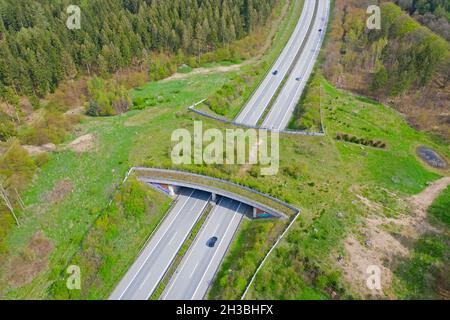 Veduta aerea sopra la fauna selvatica che attraversa / il cavalcavia della fauna / ponte degli animali / viadotto / ponte verde che attraversa una strada in Schleswig-Holstein, Germania Foto Stock