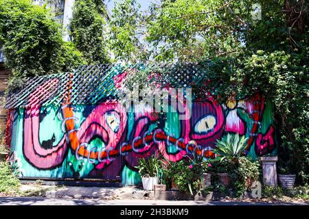 SYDN, AUSTRALIA - Sep 18, 2021: Una colorata Street art su Garden Fence a Suburban Back Laneway, circondato da Green Foliage, a Sydney, Australia Foto Stock