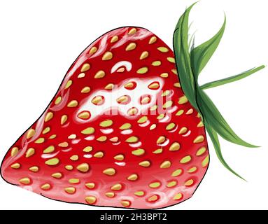 Fragola da vernici multicolore. Spruzzi di acquerello, disegno colorato, realistico. Illustrazione vettoriale di vernici Illustrazione Vettoriale