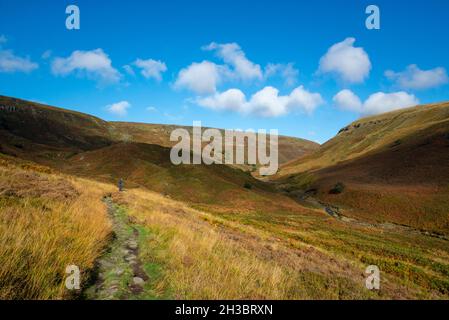 Un escursionista sulla Pennine Way a Crowden nel Derbyshire del Nord in una splendida giornata autunnale. Vista lungo il Great Crowden Brook. Foto Stock