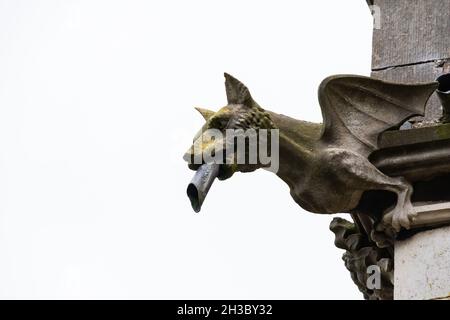 Drago gargoyle sulla chiesa di St Margaret, la chiesa di marmo, costruita da John Gibson. Bodelwydddan, Denbighshire, Galles. Foto Stock