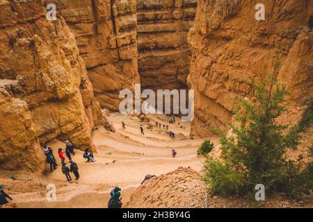 BRYCE CANYON, STATI UNITI - 29 maggio 2016: Una splendida vista di un sentiero che conduce al fondo dei bellissimi canyon a Bryce Canyon, Utah Foto Stock