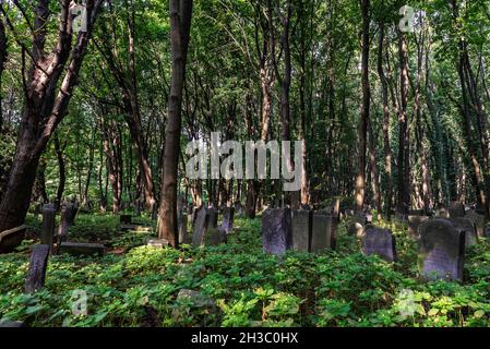 Varsavia, Polonia - 2 settembre 2018: Tombe e mausolei nel cimitero ebraico di Okopowa o Cmentarz Zydowski a Varsavia, Polonia Foto Stock