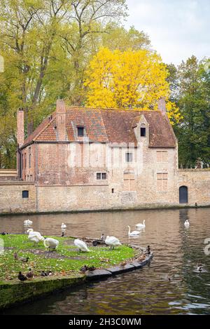 Edificio storico, parte del beghinage (olandese: begijnhof) nella città vecchia di Bruges, Belgio. Foto Stock