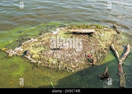 Problemi ecologici del fiume Dnieper. L'isola di recente formazione di rifiuti industriali e rifiuti. Foto Stock