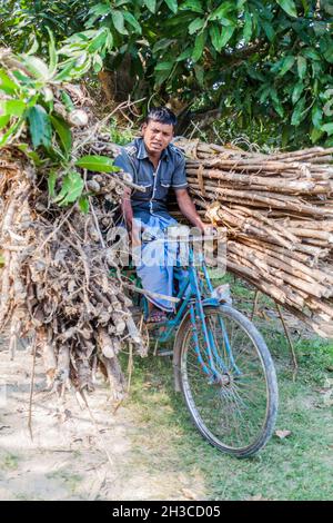 SONA MASJID, BANGLADESH - 11 NOVEMBRE 2016: Uomo locale che porta un carico di rami di legno sulla sua bicicletta. Foto Stock