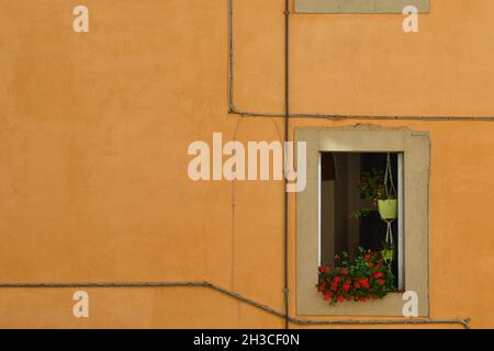 Particolare della facciata arancione di un'antica casa con finestra aperta con gerani fioriti sul davanzale, Toscana, Italia Foto Stock