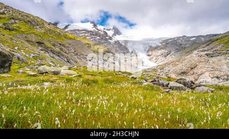 Paesaggio di montagna con prato di cottongrass e ghiacciaio Foto Stock