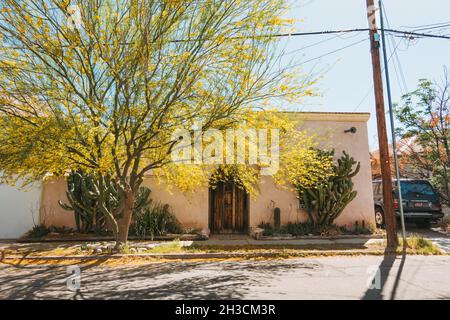 Un albero con fiore giallo tende una casa in adobe con una grande porta in legno a Barrio Viejo, Tucson, AZ Foto Stock