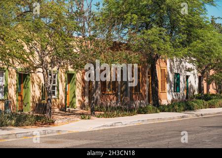 Gli alberi riparano le case di adobe dal sole che splana nel quartiere Barrio Viejo di Tucson, Arizona Foto Stock