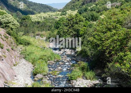 Vista panoramica sul fiume Iao, West Maui Mountains, Hawaii Foto Stock