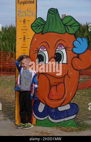 Maryland Heights, Stati Uniti. 27 ottobre 2021. Un bambino controlla la sua altezza in Pumpikland alla Thies Farm e Greenhouses durante Halloween Displays, in Maryland Heights, Missouri mercoledì 27 ottobre 2021. Foto di Bill Greenblatt/UPI Credit: UPI/Alamy Live News Foto Stock