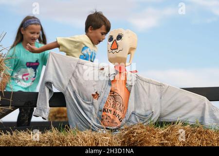 Maryland Heights, Stati Uniti. 27 ottobre 2021. I bambini corrono su balle di fieno oltre le esposizioni di scheletri alla fattoria di Thies e alle serre durante le esposizioni di Halloween, in Maryland Heights, Missouri mercoledì 27 ottobre 2021. Foto di Bill Greenblatt/UPI Credit: UPI/Alamy Live News Foto Stock