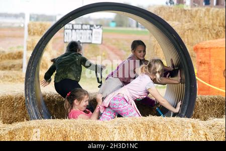 Maryland Heights, Stati Uniti. 27 ottobre 2021. I bambini girano un grande tubo di plastica mentre stanno all'interno in Pumpkinland alla fattoria di Thies e alle serre durante le esposizioni di Halloween, in Maryland Heights, Missouri mercoledì 27 ottobre 2021. Foto di Bill Greenblatt/UPI Credit: UPI/Alamy Live News Foto Stock