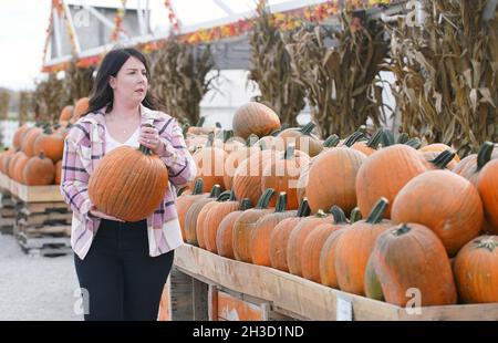 Maryland Heights, Stati Uniti. 27 ottobre 2021. Natalie Freiberger seleziona una zucca alla Ties Farm e Greenhouses durante Halloween Displays, a Maryland Heights, Missouri mercoledì 27 ottobre 2021. Foto di Bill Greenblatt/UPI Credit: UPI/Alamy Live News Foto Stock