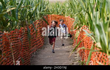 Maryland Heights, Stati Uniti. 27 ottobre 2021. I bambini corrono attraverso il labirinto di mais alla ricerca dell'uscita alla Ties Farm e Greenhouses durante Halloween Display, in Maryland Heights, Missouri mercoledì 27 ottobre 2021. Foto di Bill Greenblatt/UPI Credit: UPI/Alamy Live News Foto Stock