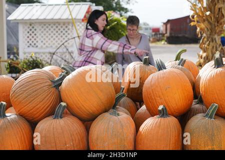 Maryland Heights, Stati Uniti. 27 ottobre 2021. Natalie Freiberger e sua madre Kia, selezionano le zucche da carve alla fattoria di Thies e alle serre durante le esposizioni di Halloween, in Maryland Heights, Missouri mercoledì 27 ottobre 2021. Foto di Bill Greenblatt/UPI Credit: UPI/Alamy Live News Foto Stock