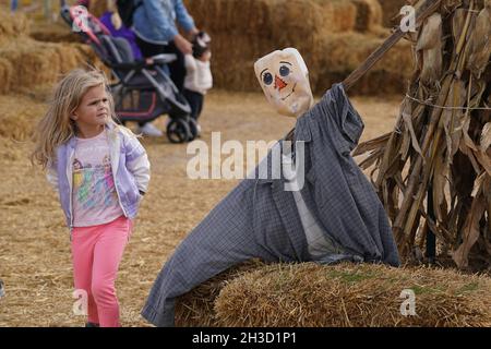 Maryland Heights, Stati Uniti. 27 ottobre 2021. Un bambino tiene d'occhio un'esposizione di scheletro in Pumpkinland, alla fattoria di Thies e Greenhouses durante le esposizioni di Halloween, in Maryland Heights, Missouri il mercoledì 27 ottobre 2021. Foto di Bill Greenblatt/UPI Credit: UPI/Alamy Live News Foto Stock