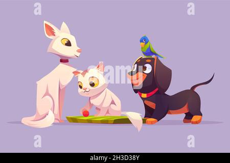 Home animali domestici gatto bianco, carino cucciolo giocare con pappagallo palla seduto su dachshund testa di cane felina, uccello e cucciolo cartoon personaggi. Petcare, adozione e amore per gli animali concetto, illustrazione vettoriale Illustrazione Vettoriale