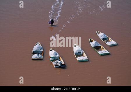 SENEGAL, VISTA AEREA DEL LAGO DELLE ROSE (REBA) ESTRAZIONE DEL SALE, Foto Stock