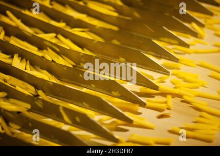 Linea di produzione di una fabbrica di patate. Patatine fritte - fast food. Foto Stock