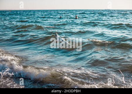 Seagull vola sulle onde del mare o del mare in una giornata estiva soleggiata. Spazio copia di vacanza estiva e vacanza business concetto di viaggio. Foto Stock