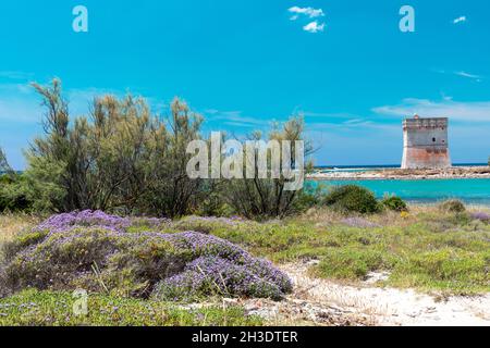 Splendida vista sulla Torre Chianca vicino a Porto Cesareo in Italia Foto Stock