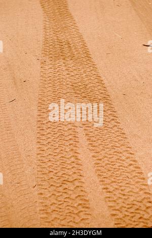 Cingoli pneumatici su terreno sabbioso, Australia Foto Stock