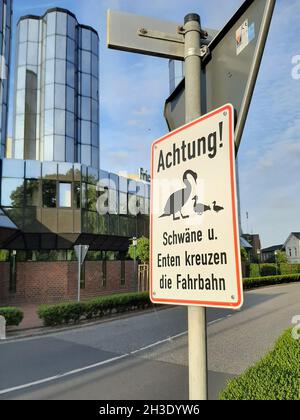 Cartello: Anatre e cigni che attraversano la strada, Germania Foto Stock