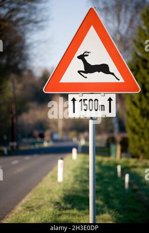 Cartello stradale attraversamento animali, Germania Foto Stock