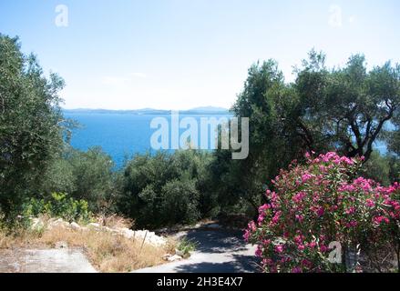 Nissaki villaggio, Corfù isola, Grecia olivi su una collina sopra il mare Mediterraneo blu aspetto paesaggio scatto Foto Stock