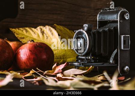 Composizione fatta di fotocamera vecchio stile posto vicino a foglie secche autunnali e melograno Foto Stock