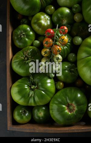 Vista dall'alto di un ramo di pomodori maturi a bacche sottature su un mazzo di pomodori verdi Foto Stock
