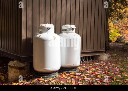 Bombole di propano sul retro di una capanna di metallo in un parco in autunno Foto Stock