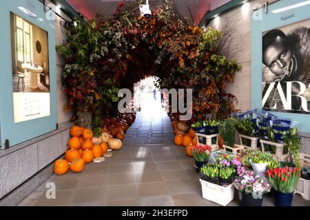 Le tradizioni e l'importanza di Halloween variano notevolmente tra i paesi che la osservano. In Scozia e in Irlanda, le tradizionali abitudini di Halloween includono bambini che si vestono in costume che vanno 'a guising', che tengono le feste, mentre altre pratiche in Irlanda includono l'illuminazione falò, e che hanno fuochi d'artificio esplays.in Bretagna i bambini giocheranno pratiche scherzi impostando candele all'interno di teschi in cimici per spaventare i visitatori. L'immigrazione transatlantica di massa nel 19 ° secolo ha reso popolare Halloween in Nord America, e la celebrazione negli Stati Uniti e in Canada ha avuto un impatto significativo ... Foto Stock