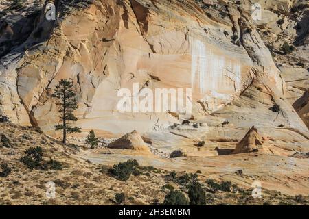 Un'escursione attraverso Lick Wash, un canyon affluente distante dell'Upper Buckskin Gulch nello Utah vicino a Kanab. Foto Stock