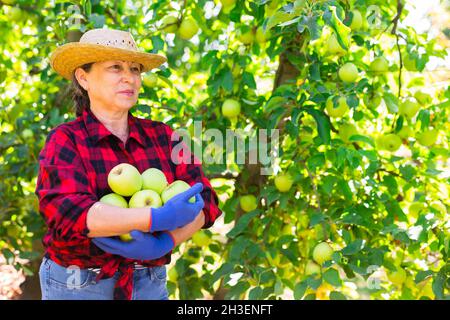 Donna con mazzo di mele in giardino Foto Stock