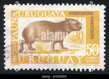 URUGUAY - CIRCA 1970: Timbro stampato dall'Uruguay, mostra Capybara, circa 1970 Foto Stock