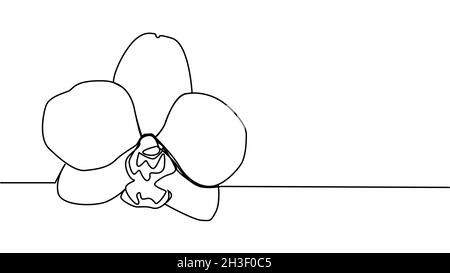 Fiori di orchidea disegnati a mano. Disegno a una linea. Arte minimalista Illustrazione Vettoriale