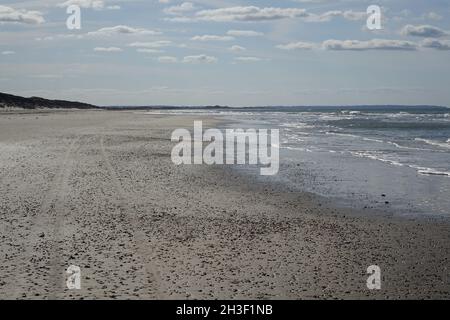 Guardando verso sud su Jammerbugt in Blokhus Strand (Blokhus Beach) in una giornata di sole, Jutland settentrionale, Danimarca Foto Stock