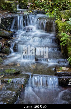 L'acqua scorre dolcemente lungo una sponda a gradini, che scorre verso il fiume Spodden Foto Stock