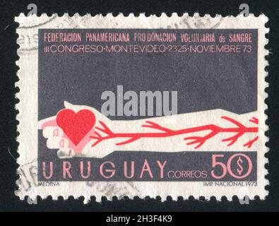 URUGUAY - CIRCA 1973: Francobollo stampato dall'Uruguay, mostra Arm con arterie e cuore, circa 1973 Foto Stock