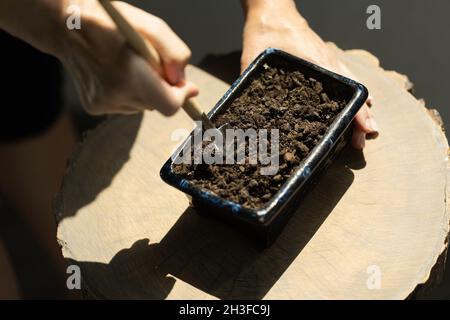 Preparazione di un vaso di fiori per trapianto di piante. Foto Stock