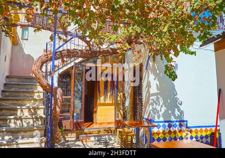 La vecchia terrazza della casa da tè nel quartiere Albaicin con scala stretta e ombrosa vite, Granada, Spagna Foto Stock