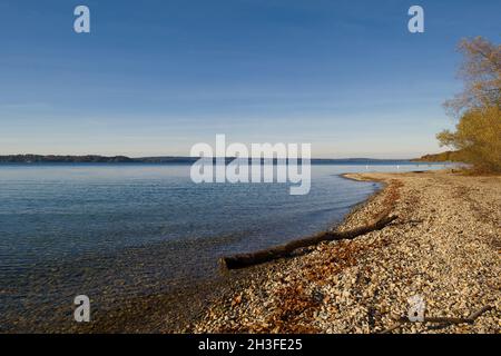 Ufer mit Sonne am Starnberger See Foto Stock