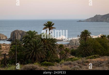 Paesaggio di palme e roccia vicino a piccola città di pescatori, Isleta del Moro, nel Parco Naturale Cabo de Gata, Almeria, Spagna Foto Stock