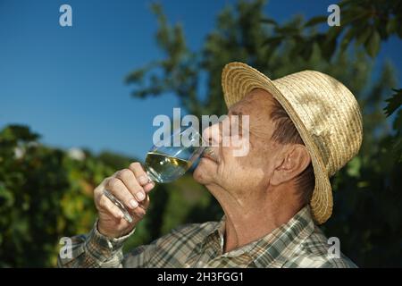 Degustazione vino da enologo senior Foto Stock