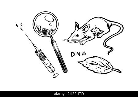 Ratto e siringa e lente d'ingrandimento. Esperimenti di laboratorio chimico. Mouse nella ricerca biologica medica. Contorno inchiostro nero per infografica Illustrazione Vettoriale