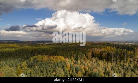 Veduta aerea del parco naturale autunnale di foreste occidentali colorate vicino ad Augusta, Swabia, Baviera, Germania, Europa Foto Stock